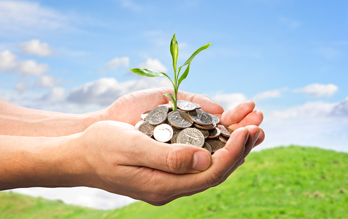 Storytelling, what is the Return of Investment?