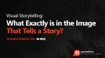Visual Storytelling : What Exactly is in the Image That Tells A Story ?